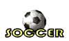 SoccersignandSpinBall.gif (4820 bytes)